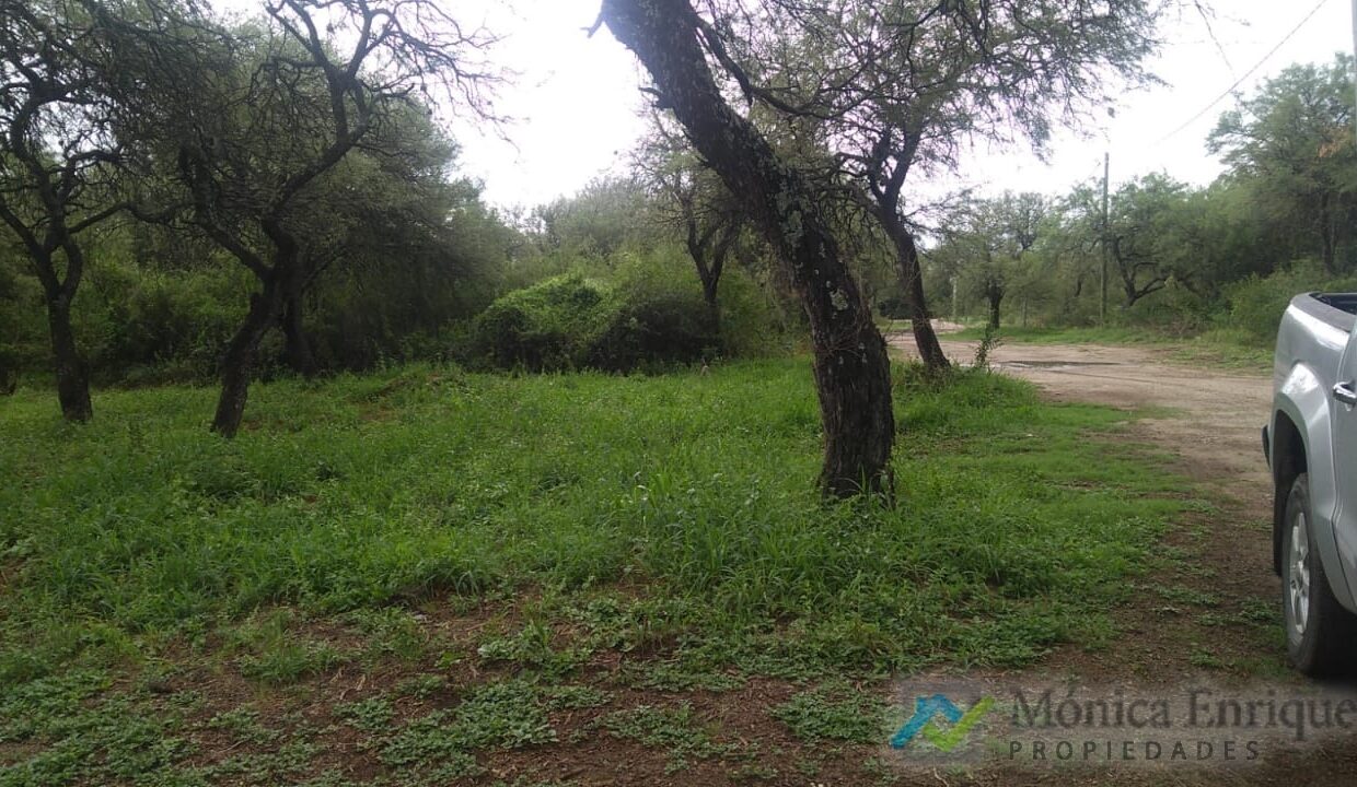 WhatsApp Image 2022-03-09 at 3.14.42 PM