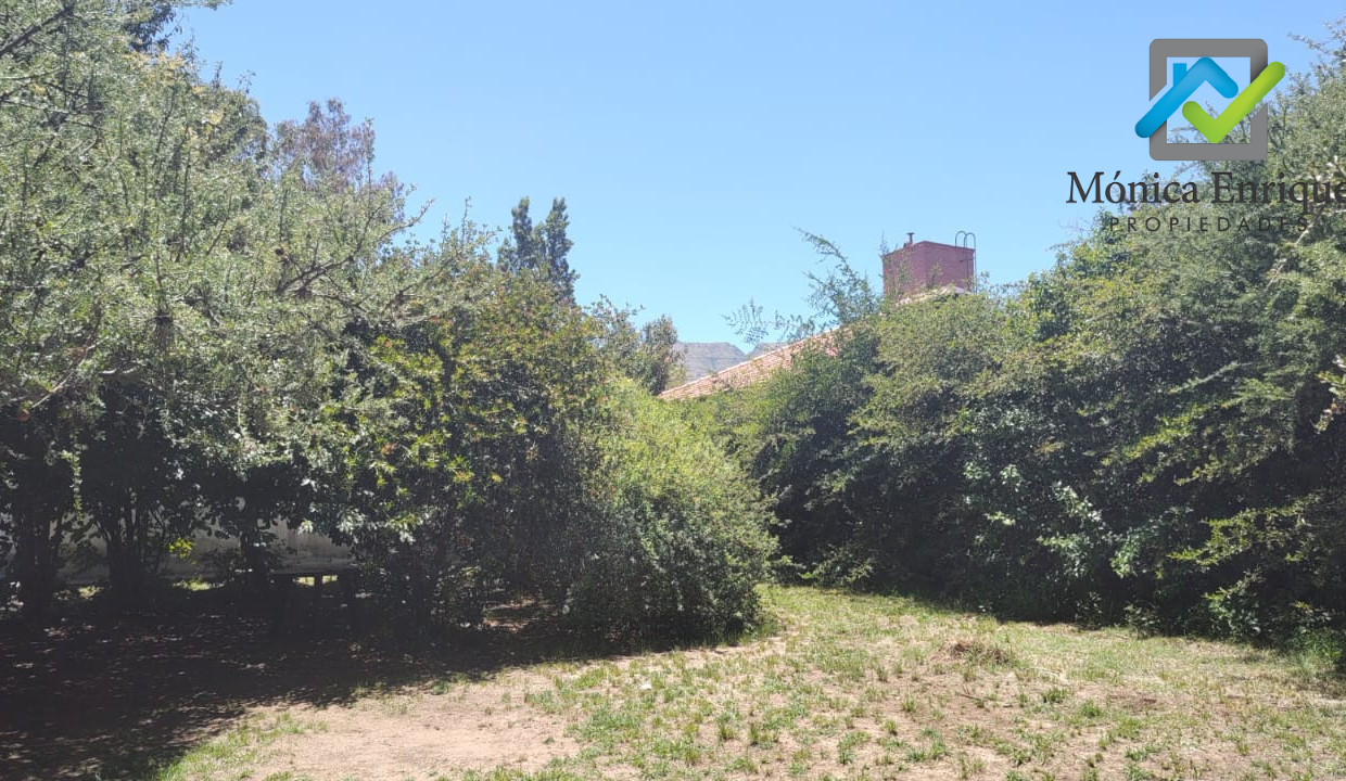 Calle Tres Marias Villa de Merlo Monica Enrique Propiedades6