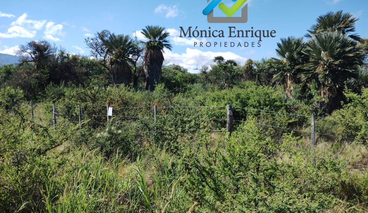 Lote Piscu Yaco de 1537 m2 Monica Enrique Propiedades 1