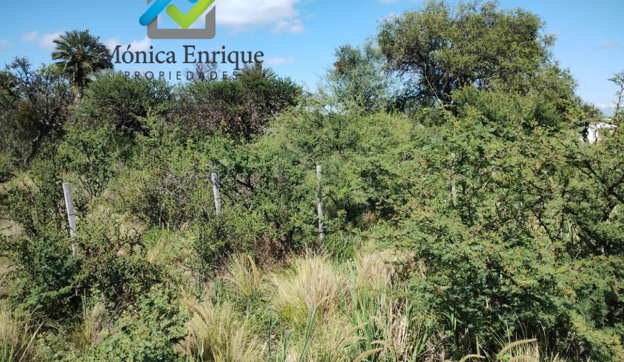 Lote Piscu Yaco de 1537 m2 Monica Enrique Propiedades