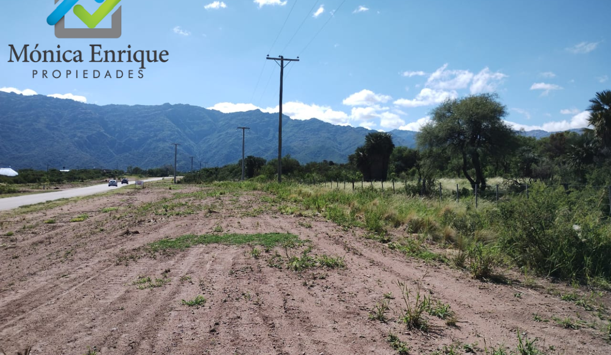 Lote Piscu Yaco de 1537 m2 Monica Enrique Propiedades 3