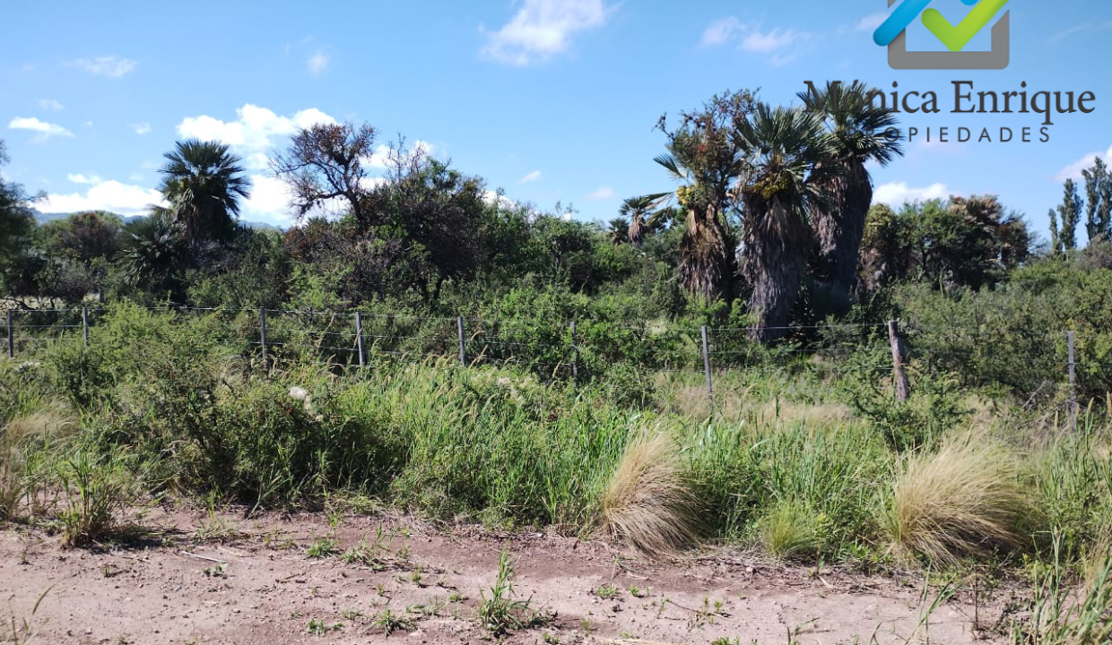 Lote Piscu Yaco de 1537 m2 Monica Enrique Propiedades 7