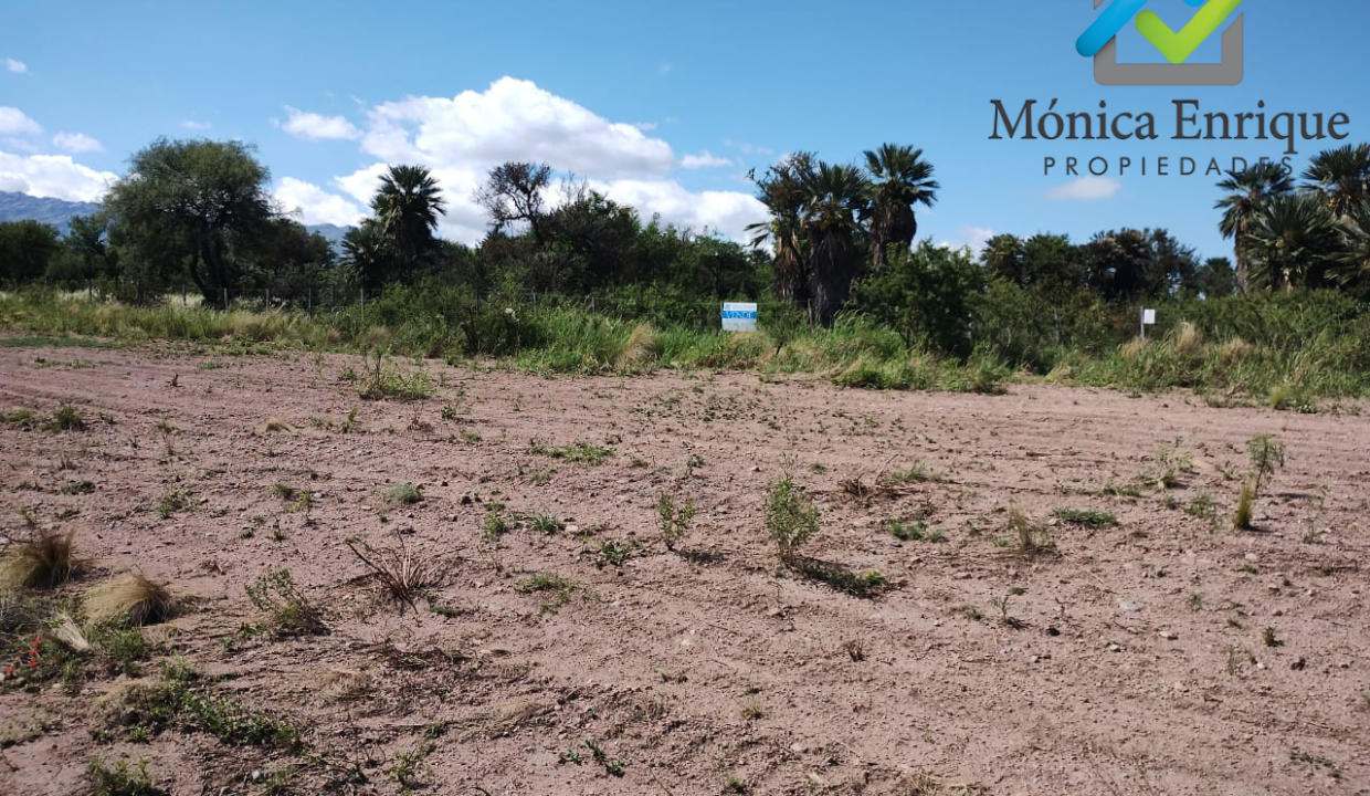 Lote Piscu Yaco de 1537 m2 Monica Enrique Propiedades 9