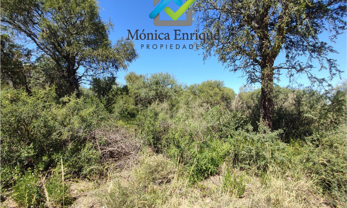 Lote 1181m2 Los Molles Monica Enrique Propiedades 5