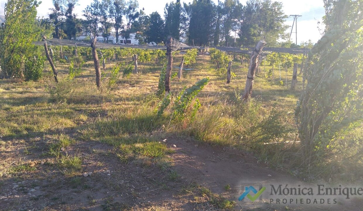 monica-enrique-propiedades-papagayos8_51916598755_o