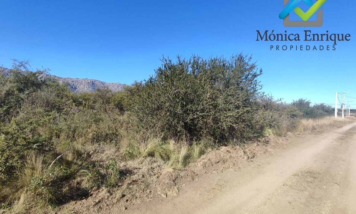 Zorzales del Dique Monica Enrique Propiedades 8