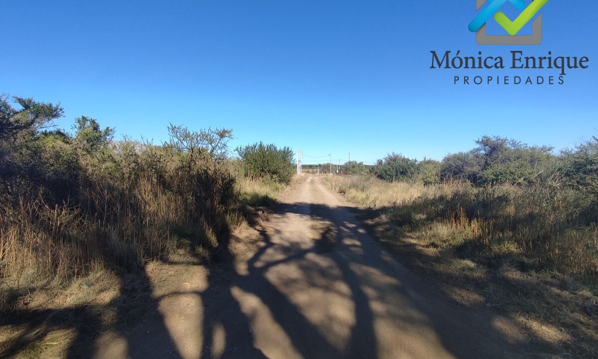 Zorzales del Dique Monica Enrique Propiedades 9