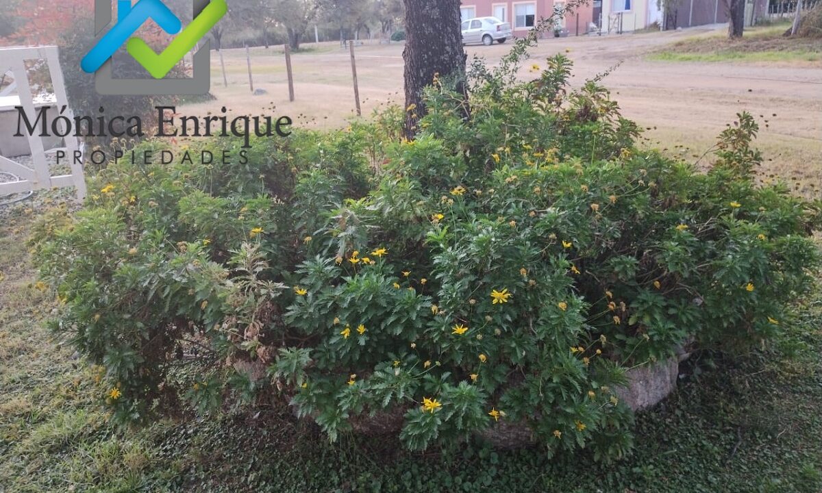 Casa en Venta Solares del Valle 11