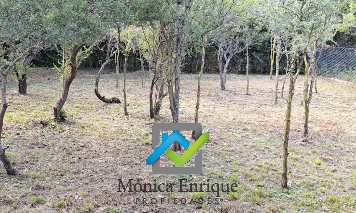 Casa a Estrenar en Pedro Ponce Carpinteria Monica Enrique Propiedades 13