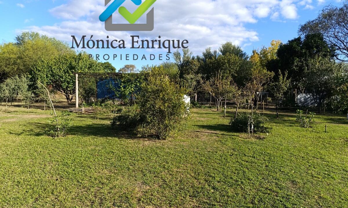 Casa Barrio Colonia Argentina Carpinteria (13)