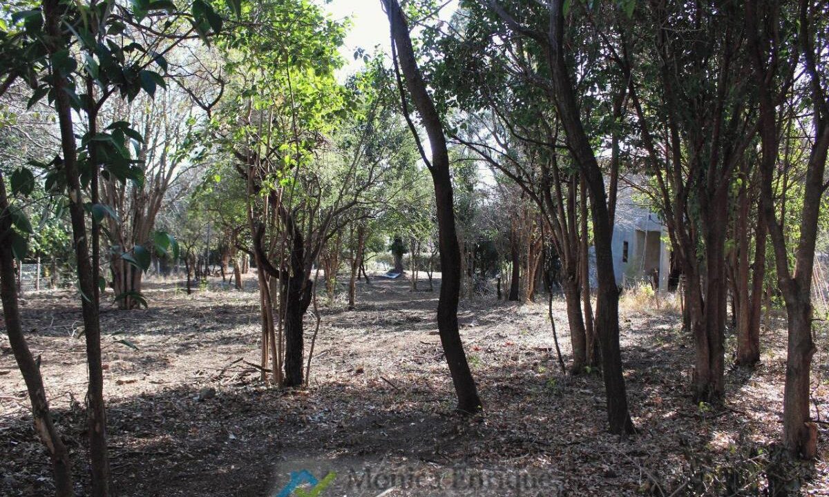 Lote Rincon del Este 1