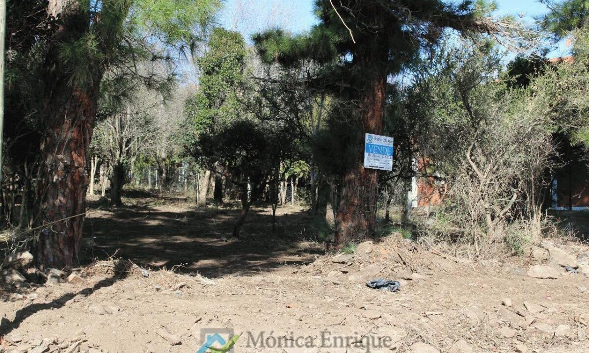 Lote Rincon del Este 11