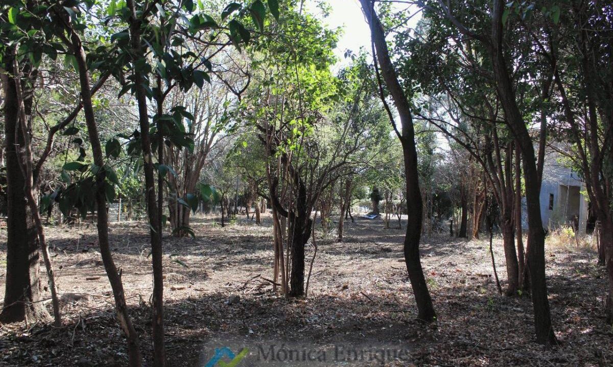 Lote Rincon del Este 15