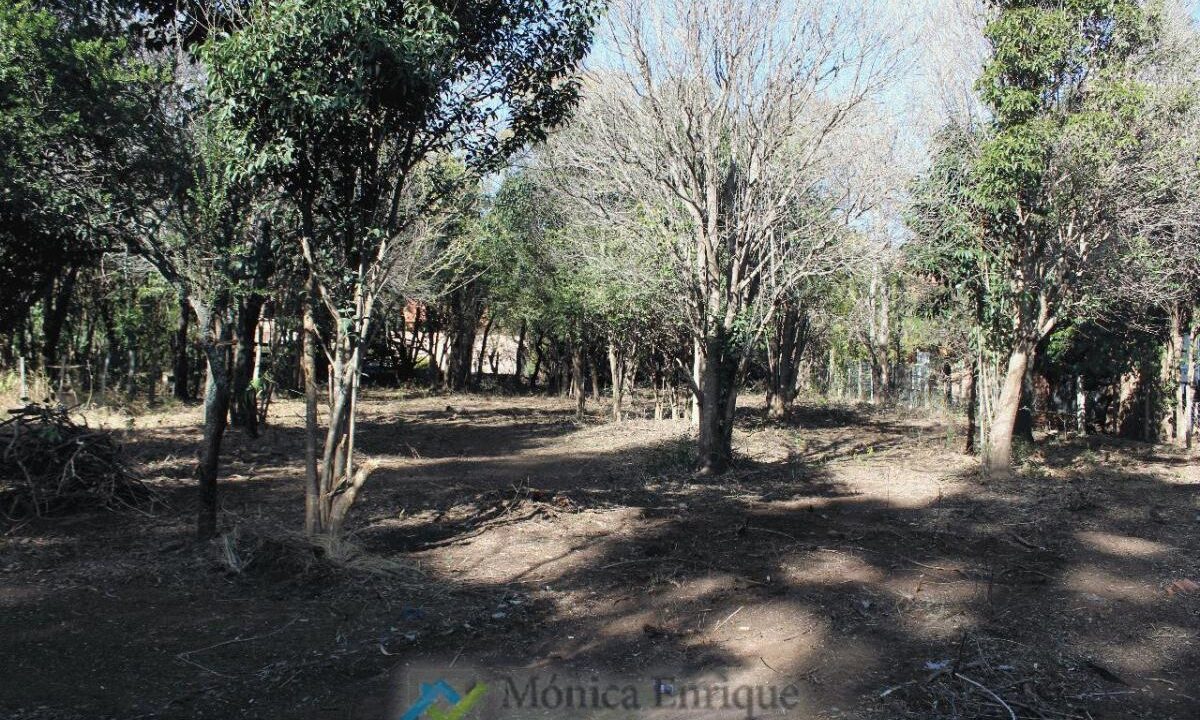 Lote Rincon del Este 16