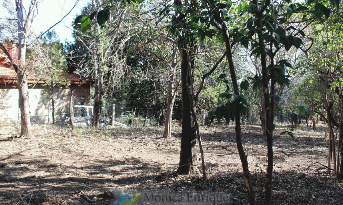 Lote Rincon del Este 2