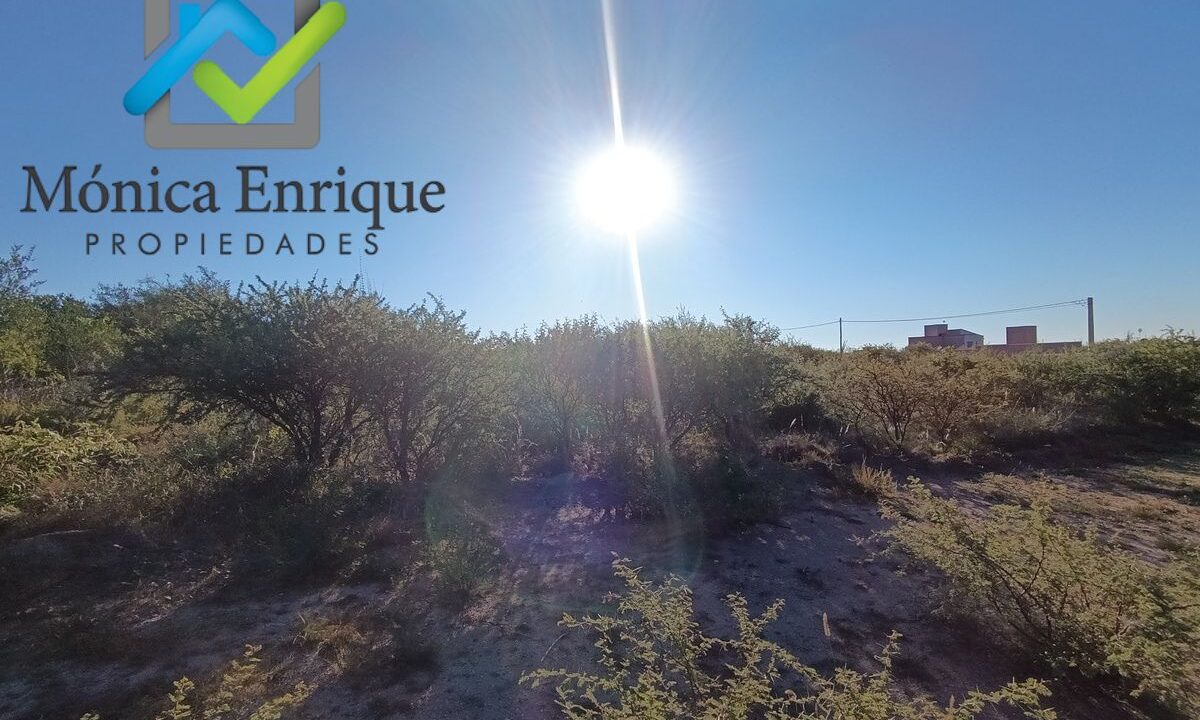 Lote Cortadera 800,45 mts (5)