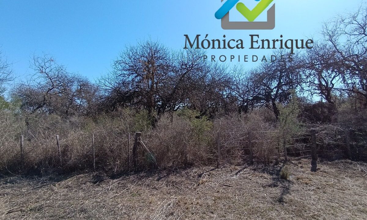 Lote Carpintería Loteo El Algarrobo (10)