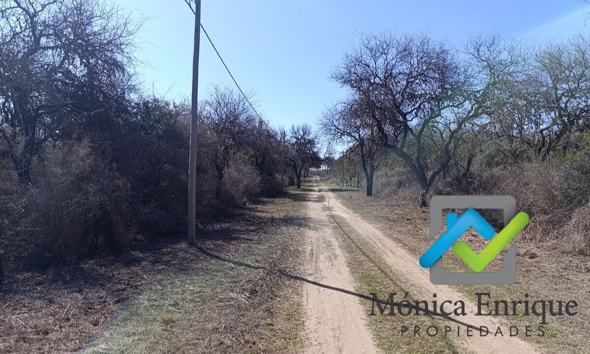 Lote Carpintería Loteo El Algarrobo (13)