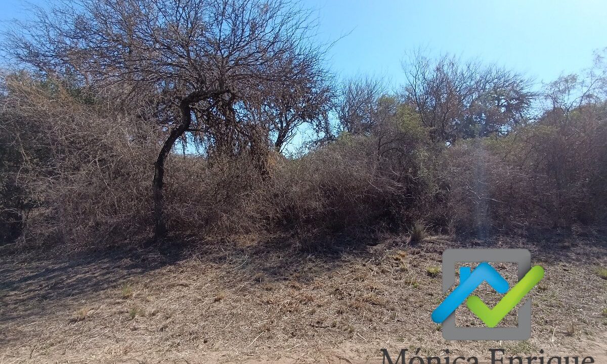 Lote Carpintería Loteo El Algarrobo (2)