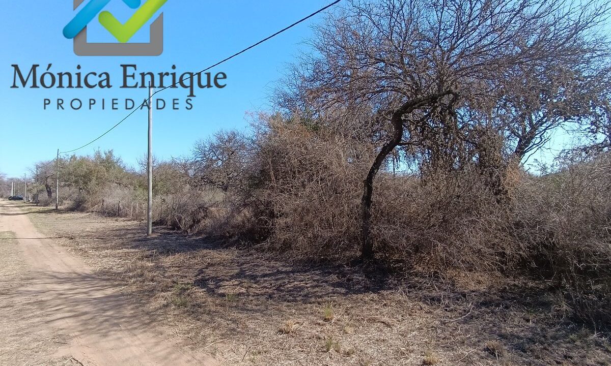Lote Carpintería Loteo El Algarrobo (3)