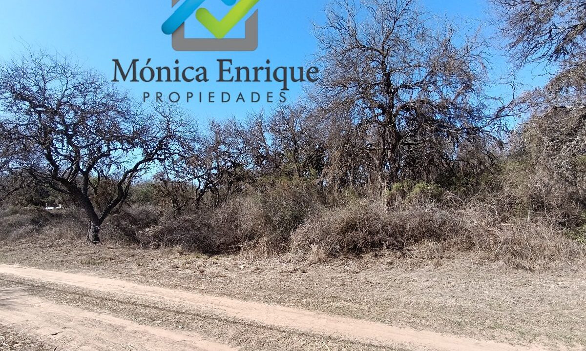 Lote Carpintería Loteo El Algarrobo (8)