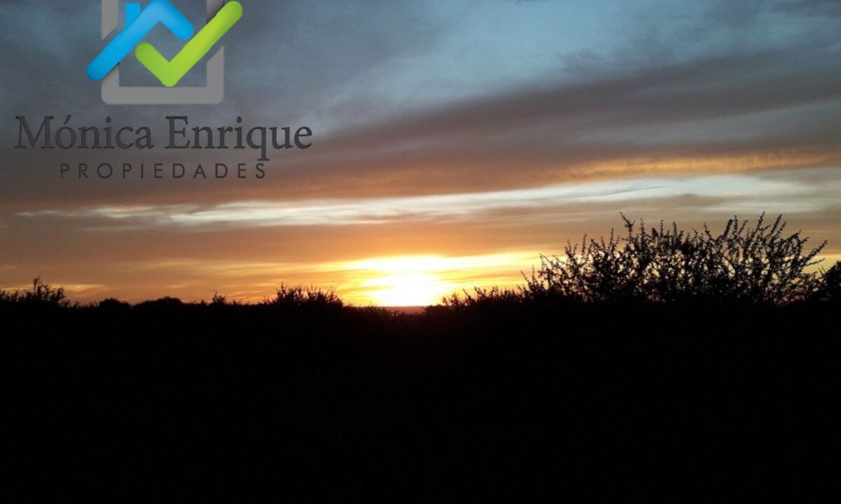 Lote Cortaderas Debora y Martías (1)