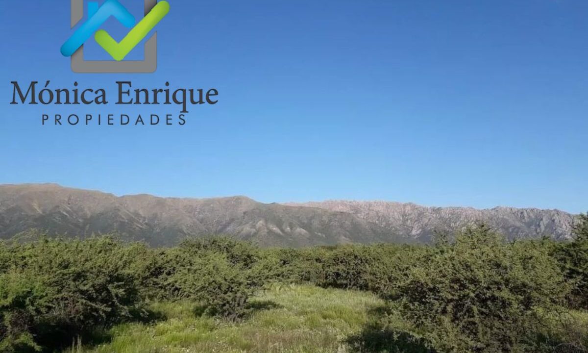 Lote Cortaderas Debora y Martías (13)