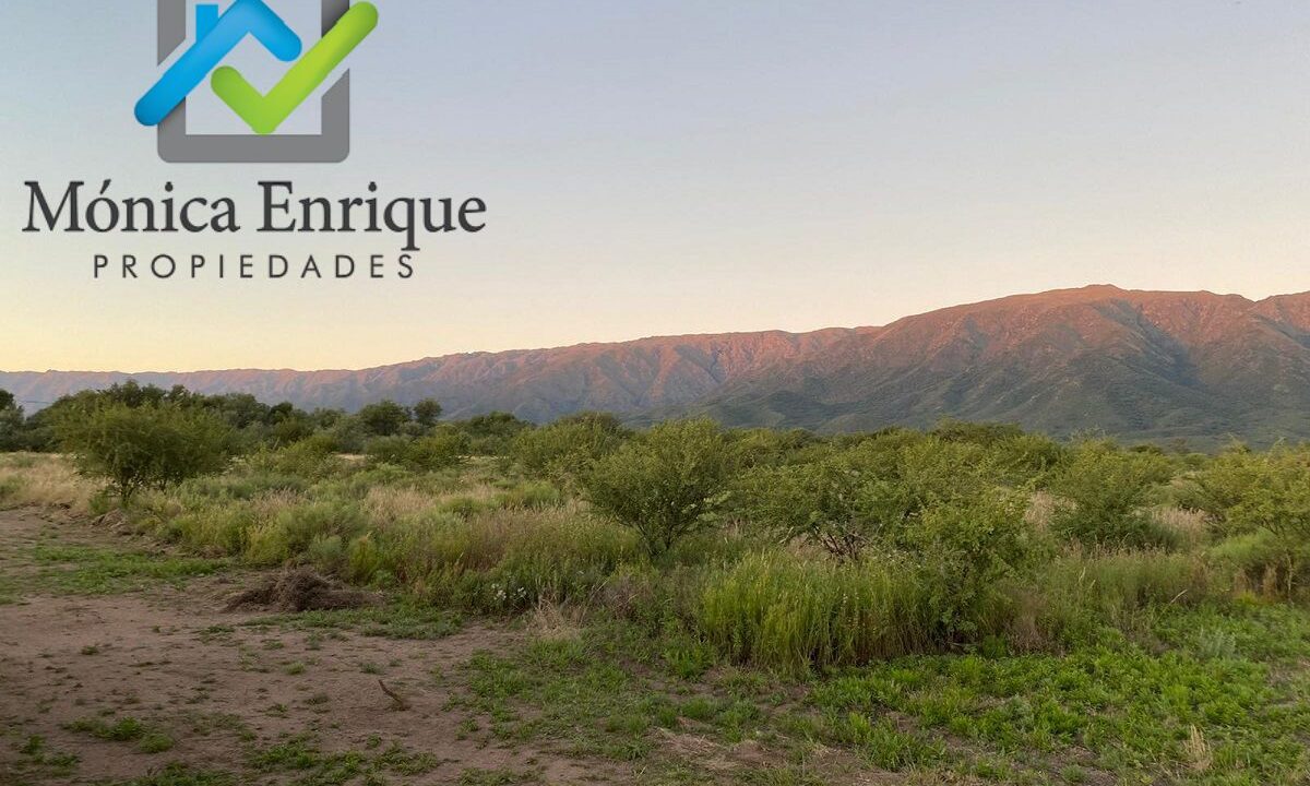 Lote Cortaderas Debora y Martías (8)